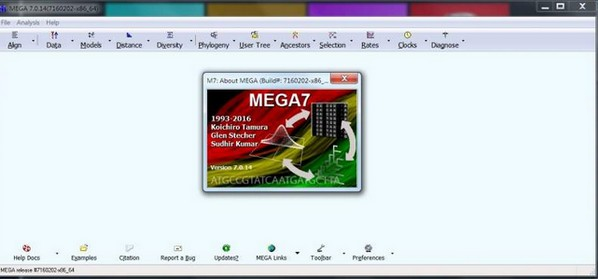 mega软件截图-1